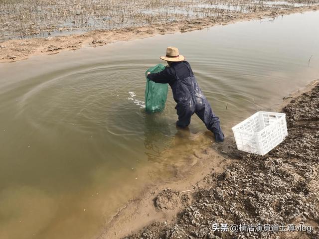 [江苏宜兴天气预报]水产养殖需要注意哪些问题？