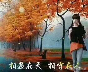 我爱我的男人（我爱我的男人们）