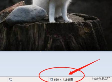 如何修改电脑上的照片像素大小