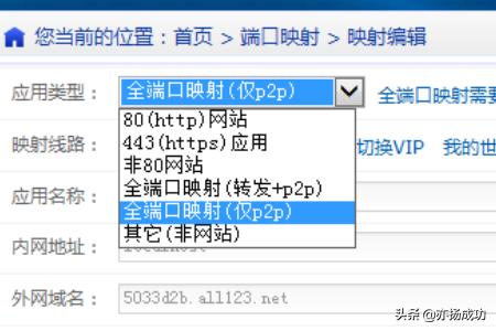 nat服务器搭建网站