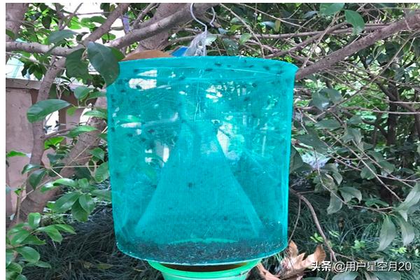 悬挂式捕蝇笼放置技巧,第6张