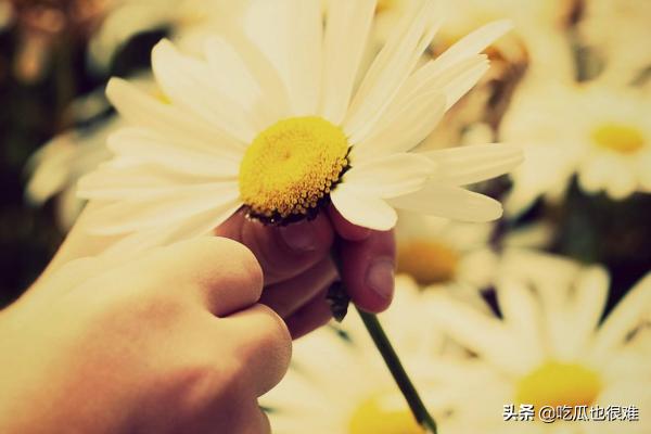 两个字的网名（两个字的网名有内涵,有深度）