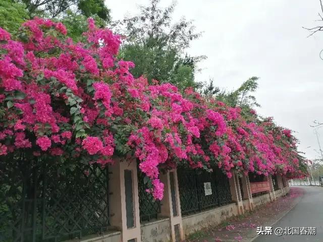 南宁市哪个地方房子好