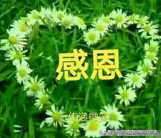 女人最大的财富是什么(图8)