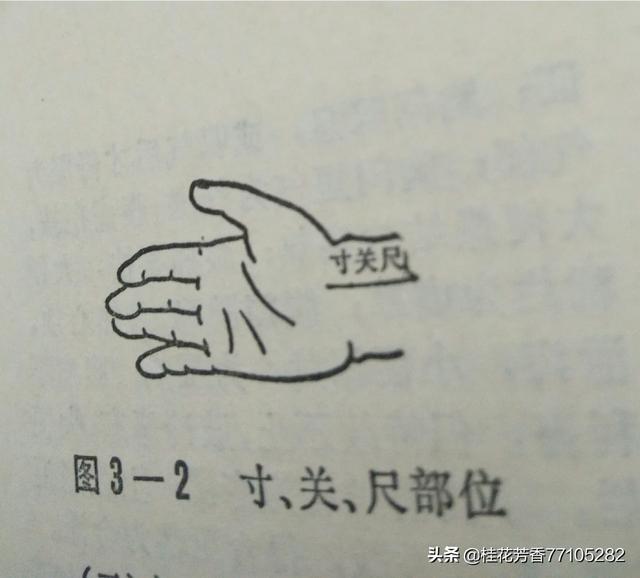 有关医疗保险的书籍有哪些_我想学中医的把脉，请问买什么书比较好？