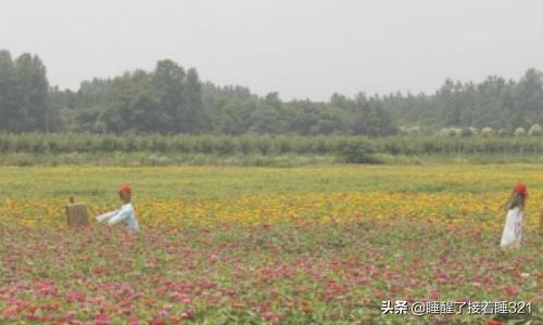 溧阳曹山慢城旅游攻略？宜兴和溧阳哪个好玩？