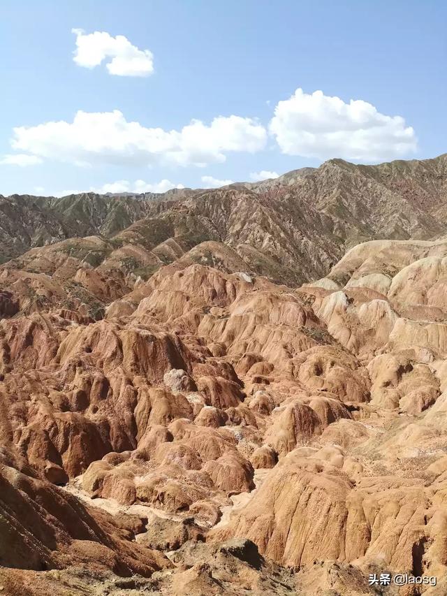 定西市岷县纸飞机账号购买服务