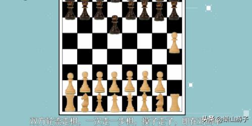 国际象棋 国际象棋的规则和走法-第6张图片-Game优搜