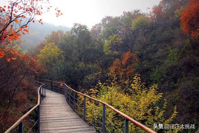 国内旅游去哪里比较好玩又便宜,国内旅游去哪里比较好玩又便宜的地方