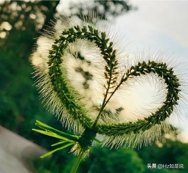 爱上一个不回家的人_爱上一个不回家的人简谱歌谱