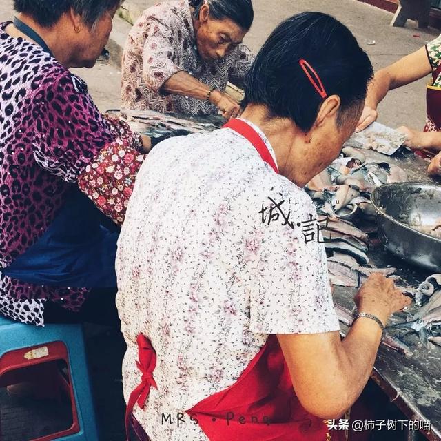 香巴拉旅游小镇攻略路线， 香巴拉旅游小镇攻略路线图