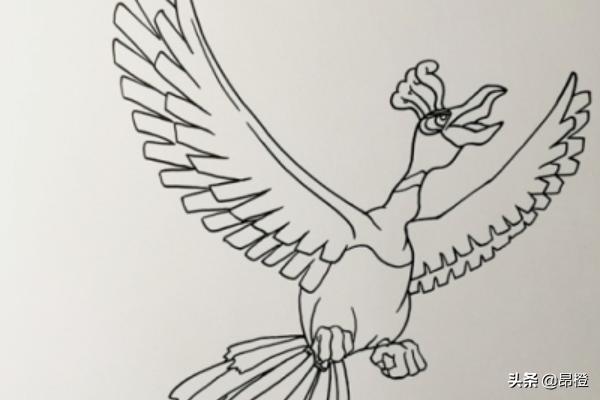 简笔画《宠物小精灵》之凤王? - 全心思齐网