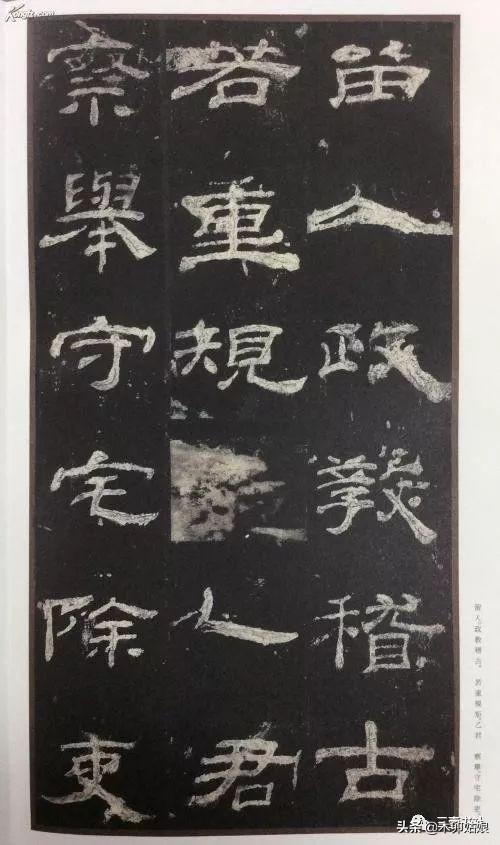 楷书和隶书哪个字体好学