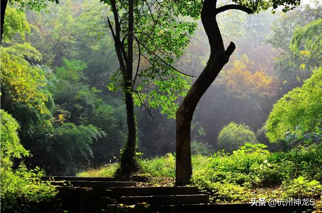 杭州东站附近的景点