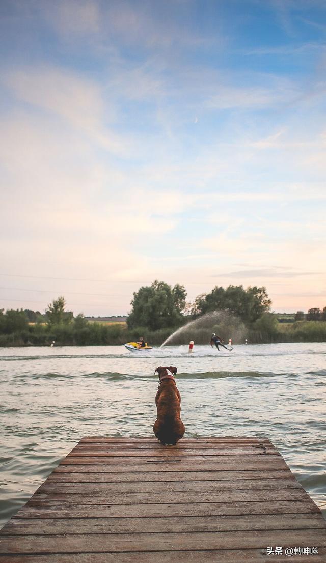 人生积极语录（积极的人生感言）