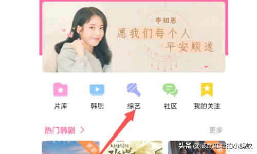 怎么用手机看韩国综艺节目看韩综app有哪些