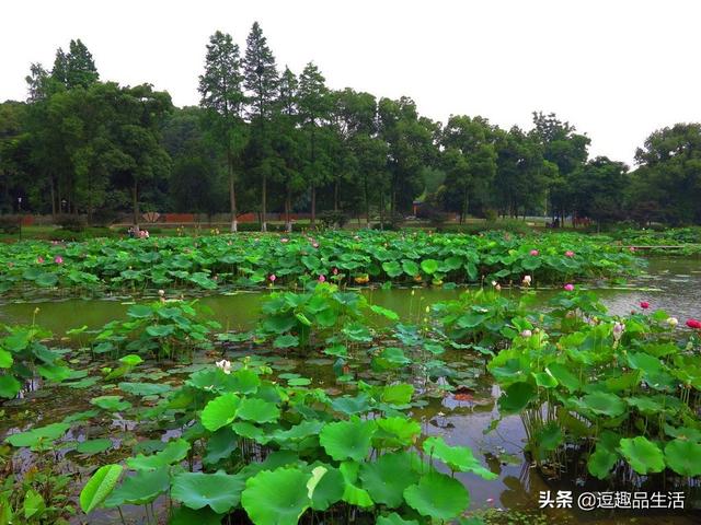 适合学生夏季旅游的地方 多少钱一个月-适合学生夏季旅游的地方 多少钱一个月呢