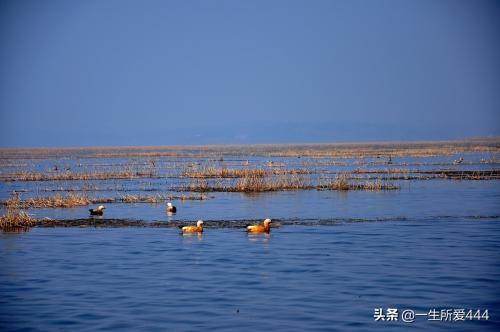 [威宁草海景点介绍]威宁必去的十大景点？