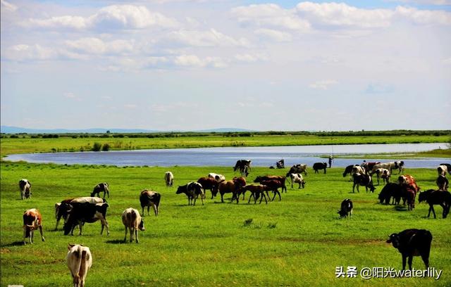 年假了去哪旅游