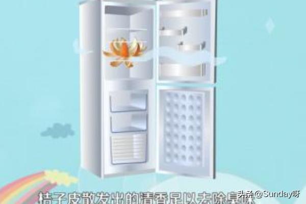 怎么去除冰箱异味(图11)