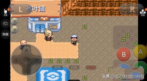 口袋迷dx 口袋迷的世界-第1张图片-Game优搜