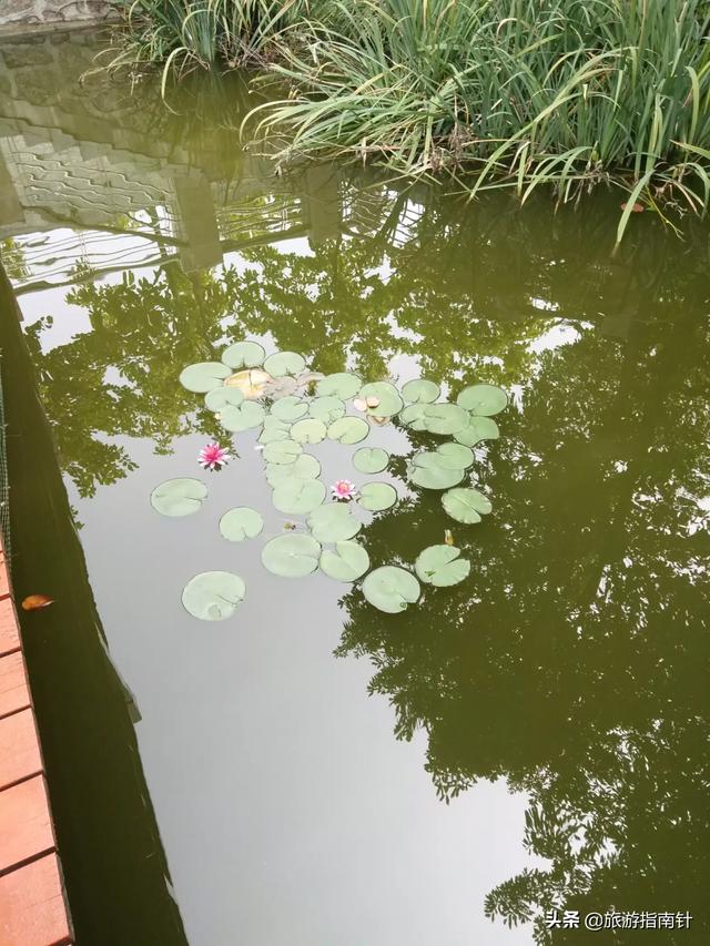 景观设计跳槽（园林景观设计专业怎么样？就业前景如何？）