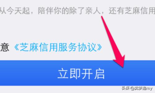 什么是芝麻分怎样查？：芝麻分怎么查