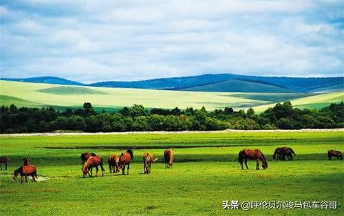 内蒙古草原的自嘫风光和民族风情(内蒙古的著名草原有哪些？)