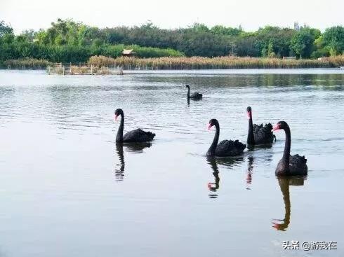 厦门市哪个公园好