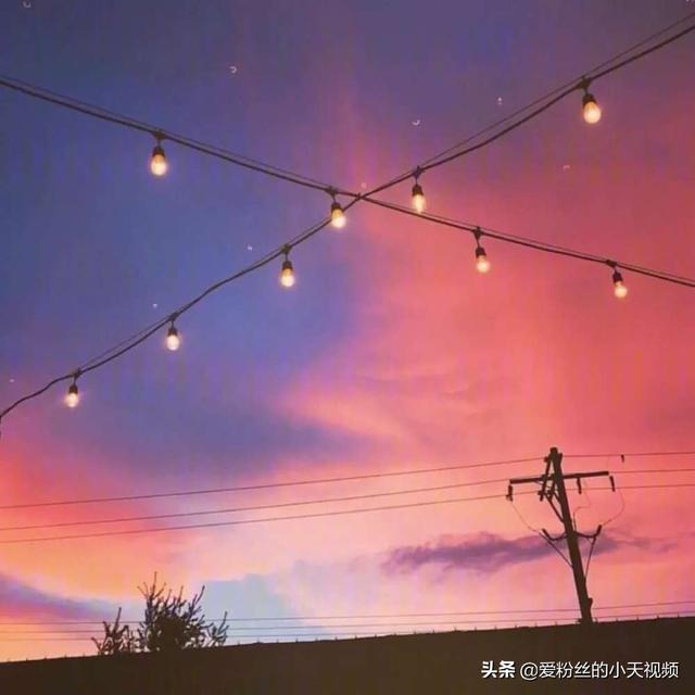 勤奋议论文（勤奋议论文素材摘抄 名人）