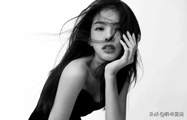 小佩小佩宠物官网