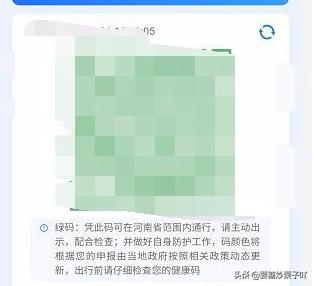 河南健康码小程序叫什么？