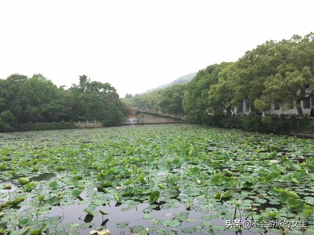 舟山沈家门住宿哪里比较好-舟山沈家门住宿哪里比较好一点