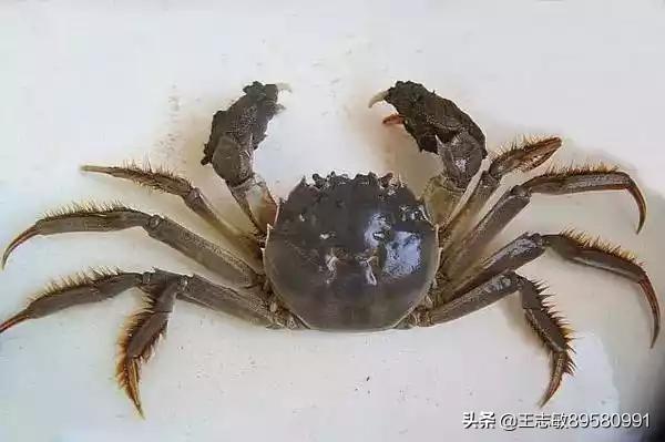 e2f4bbd7ac734559ae8668c2e6f1ee7b