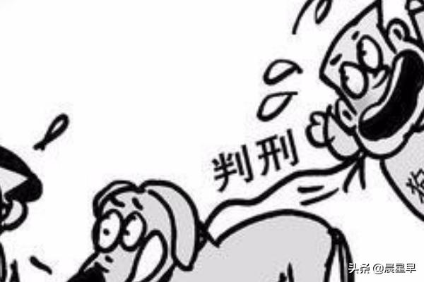 小区养小狗怎么投诉