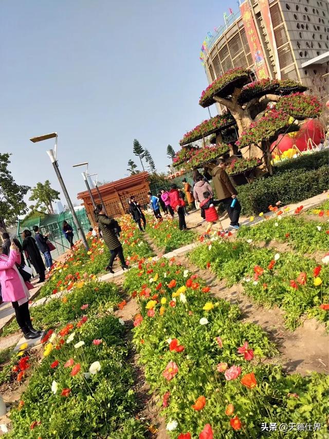 厦门集美一日游必去景点(图8)