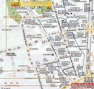 新疆冬厘果60元一斤新疆冬厘果60元一斤贵吗