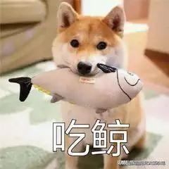 重大疾病理赔比例 太平洋金佑人生保险怎么理赔如果是重大疾病的一种？