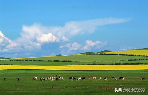 【内蒙古重点建设高校,内蒙古重点工程】，内蒙古自治区重点建设高校-图1