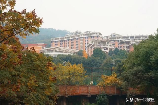 重庆工商大学的王牌专业有哪些，重庆工商大学的王牌专业是什么专业