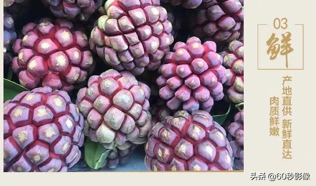 云南丽江市古城区采摘口碑好的农家乐挑选一家最合适的推荐下,丽江环境好的农家乐