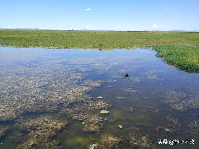 自己去国外旅游都需要什么-自己去国外旅游都需要什么手续