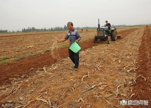 果园翻地几月最好种植呢,果园翻地几月最好种植呢视频