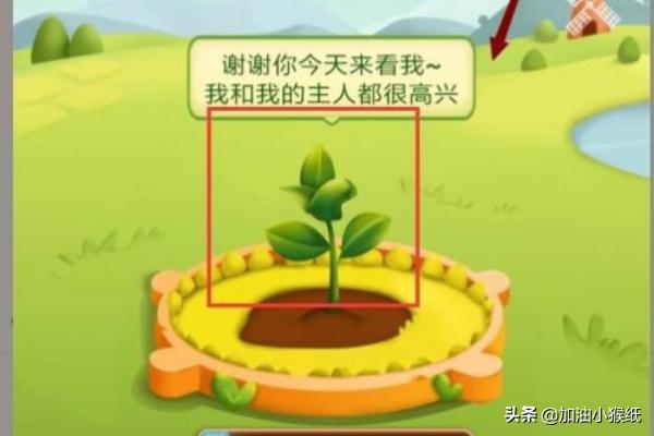 拼多多果园种植过程图解,拼多多果园种植技巧