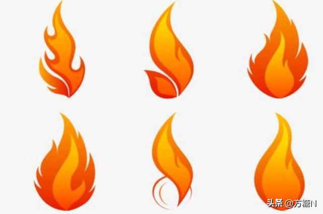 流行之星月季 流行之星-第2张图片-随然AIR主题