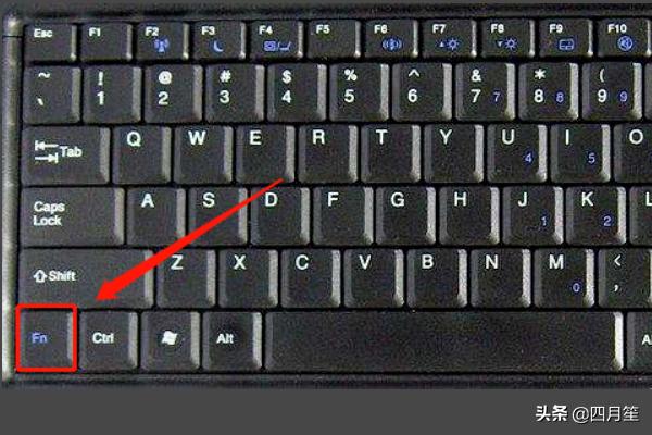 f4图片f4图片流星花园图片