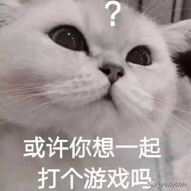 王者荣耀网名谐音梗？游戏中的梗