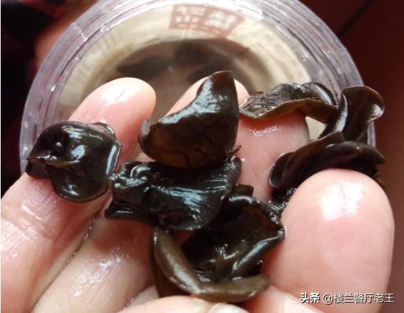 泡好的木耳怎么炒着吃(图3)