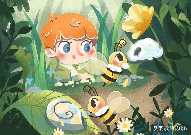 什么是科普(什么是科普类书籍)