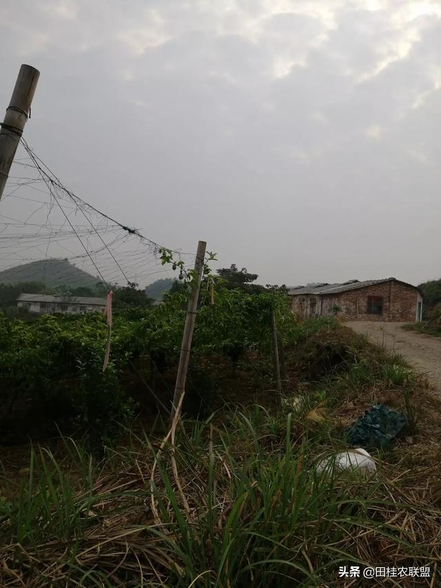 养什么动物好赚钱呢 养殖什么动物比较赚钱？简单一点的，成本不用那么高的？